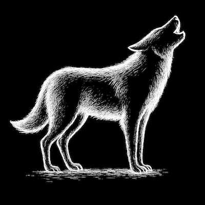 Project Wolf logo